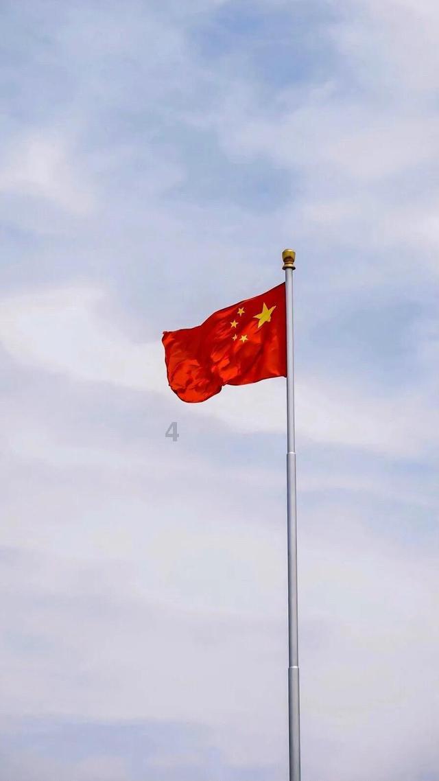蚂蚁是昆虫吗